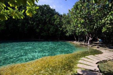 Tayland 'ın güneyindeki Krabi ilinde Mavi Havuz (Emerald Pool-Krabi) 