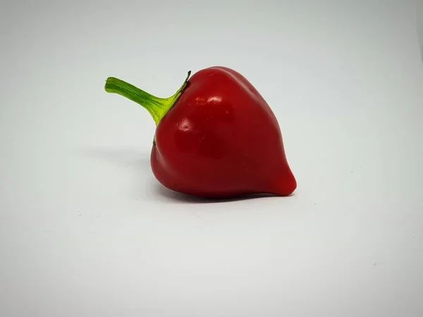 Varm Röd Paprika Sort Specialitet Chili Pepper — Stockfoto