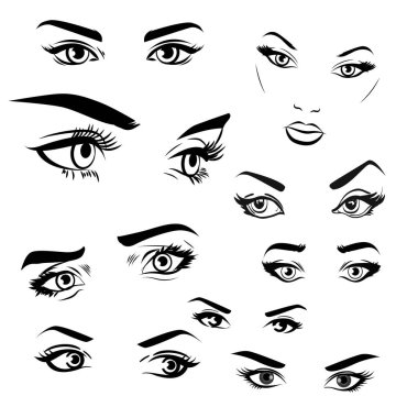 Female woman eyes and brows image collection set. Fashion girl eyes design. Vector illustration clipart