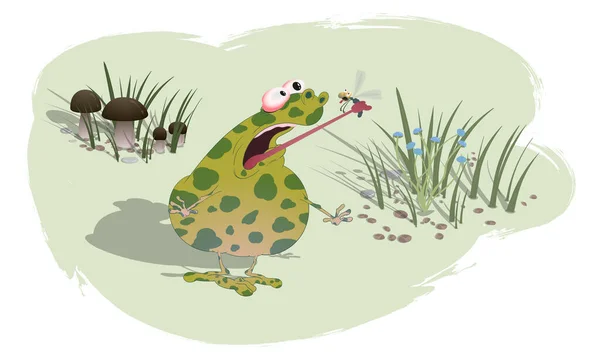 Un crapaud tacheté gras a attrapé la libellule dans la langue. Illustration vectorielle sur fond coloré . — Image vectorielle