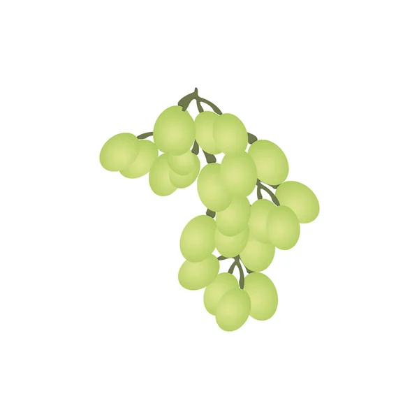Куча винограда. Векторная иллюстрация на белом фоне . — стоковый вектор