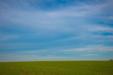 Sonbahar tarlasında gökyüzü