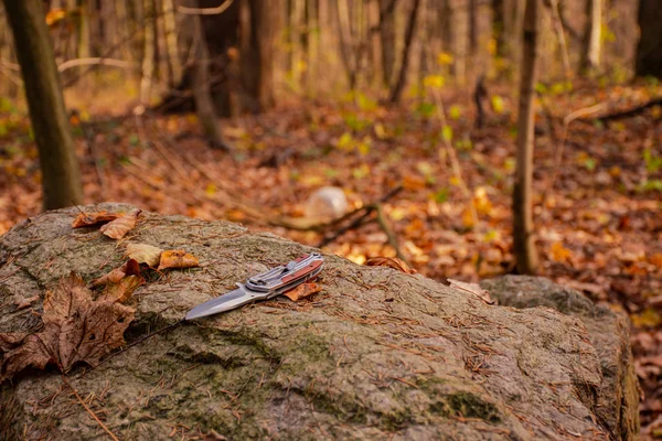 森林里的石头上有一把登山刀 免版税图库图片