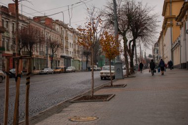 Sonbahar şehrinin merkez caddesi.