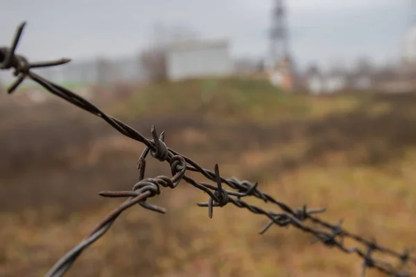 Barbed Wire Guards Territory — ストック写真