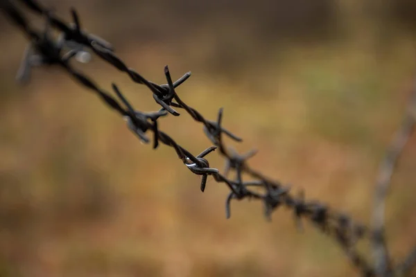 Barbed Wire Fence Autumn Macro — ストック写真