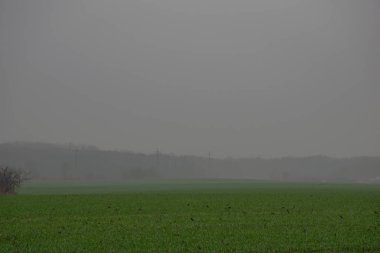 Sonbahar tarlasında sabah sisi