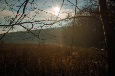 dawn over the forest and field