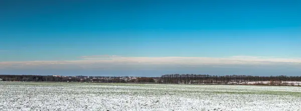 Kış Tarlalarının Mavi Gökyüzünün Manzarası — Stok fotoğraf