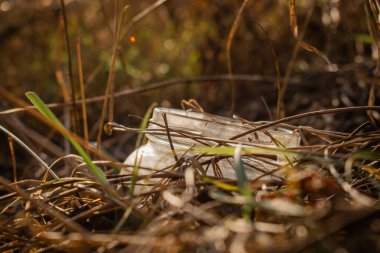Çöpe atılmış kavanoz kuru çimlerde.