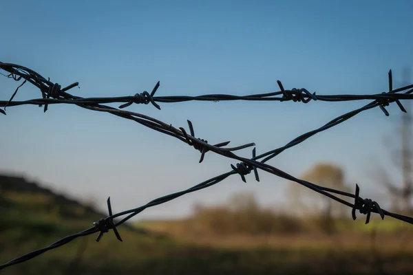 Ostnatý Drát Proti Modré Obloze — Stock fotografie