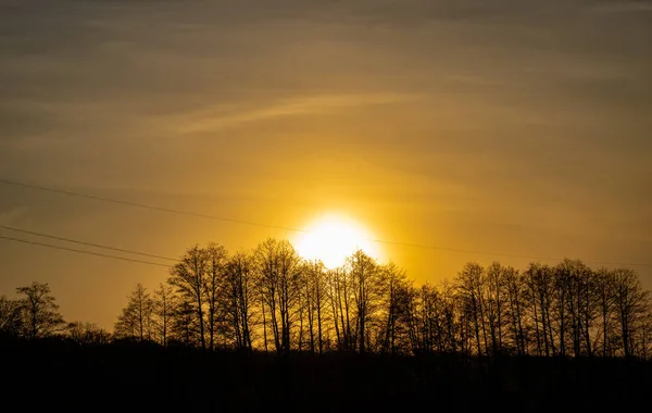 Západ Slunce Nad Polem Lesa — Stock fotografie