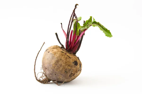 Beetroot with leaves isolated — Stockfoto