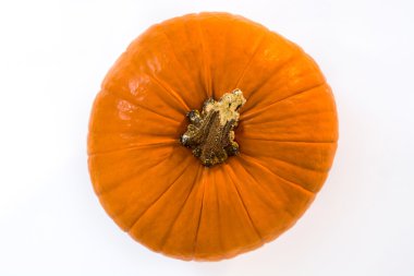 Beyaz arkaplanda kabak izole