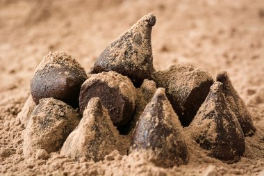 Ev yapımı çikolata truffles ve nane