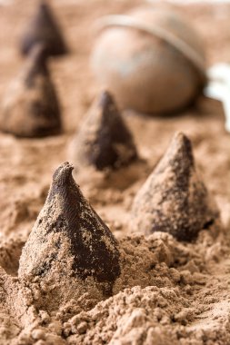 Ev yapımı çikolata truffles ve nane