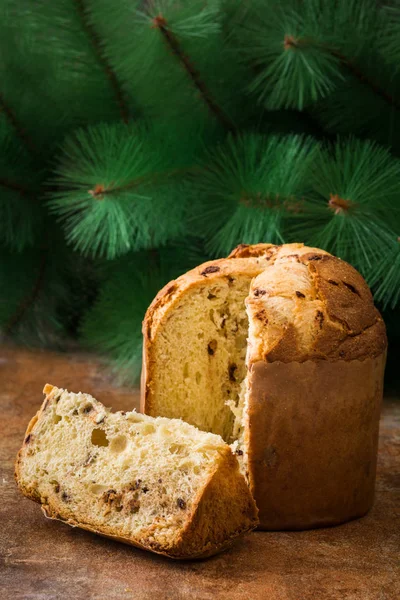 Christmas tårta panettone och julgran på rustika bakgrund — Stockfoto