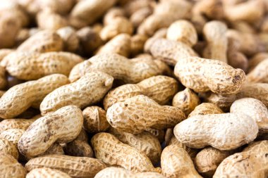 Kurutulmuş fıstık doku arka plan