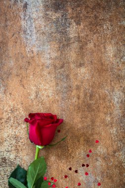 Paslı arka plan üzerinde kırmızı gül. Aşk kavramı Sevgililer günü. Boşaltmak.