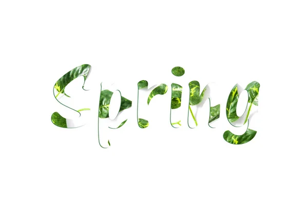 Parola Primavera Fatta Foglie Verdi — Foto Stock