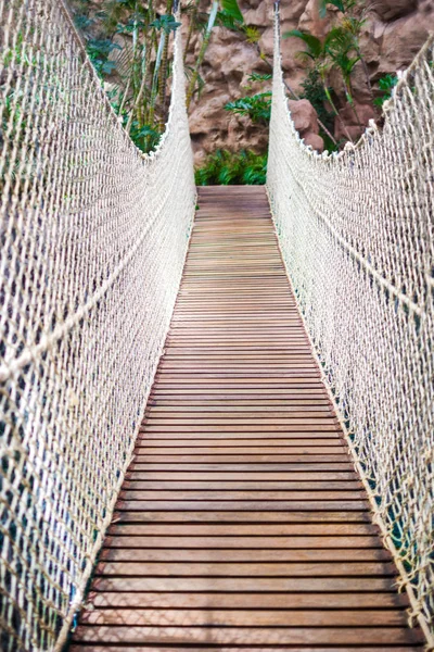 森の中で吊り橋 — ストック写真