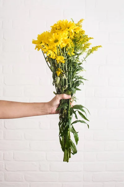 菊の花の黄色の花束女性の手 — ストック写真