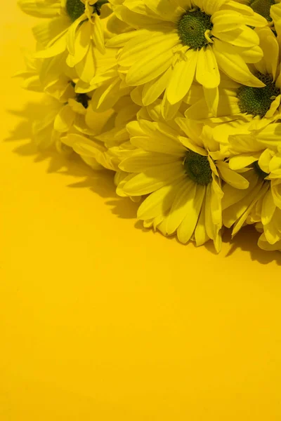 Ramo Crisantemo Amarillo Sobre Fondo Amarillo Copiar Espacio — Foto de Stock