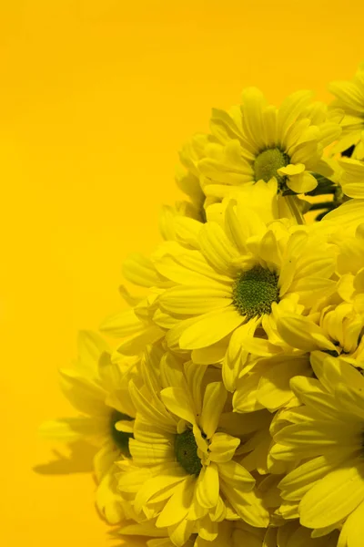 Yellow Chrysanthemum Bouquet Yellow Background Copy Space — Stock Photo, Image