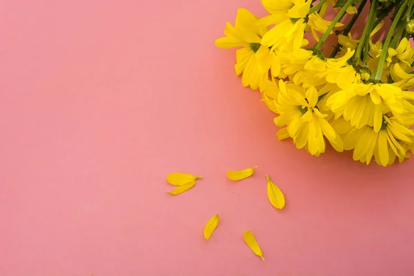 ピンクの背景に黄色の菊の花束 スペースのコピー — ストック写真