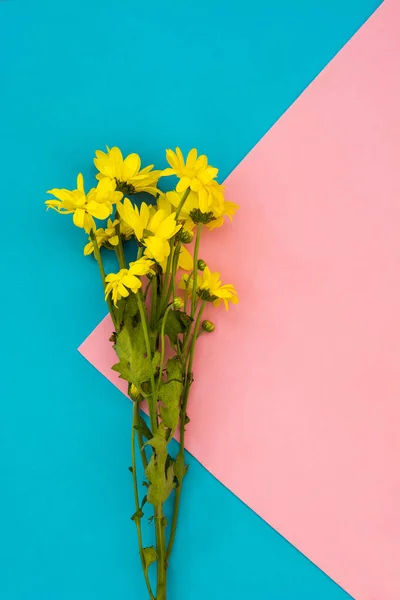 Желтый Букет Хризантемы Розовом Синем Фоне Копирование Пространства — стоковое фото