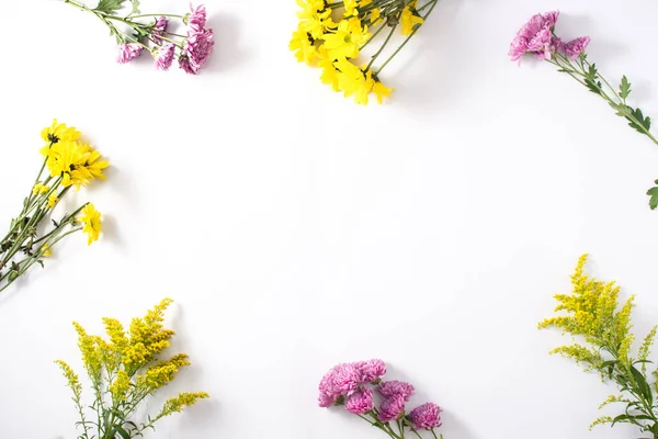 Verschillende Kleurrijke Bloemen Samenstelling Geïsoleerd Witte Achtergrond Kopieerruimte — Stockfoto