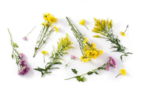 Verschillende Kleurrijke Bloemen Samenstelling Geïsoleerd Witte Achtergrond Bovenaanzicht Vlakke Plaat — Stockfoto