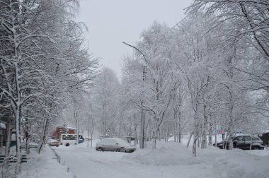 Şehirde kutup günü