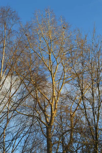 Şehirde bahar güneşli bir gün.