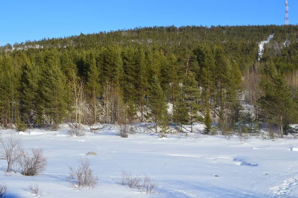 Niva Nehri 'nin donmuş yatağı Mart 2020