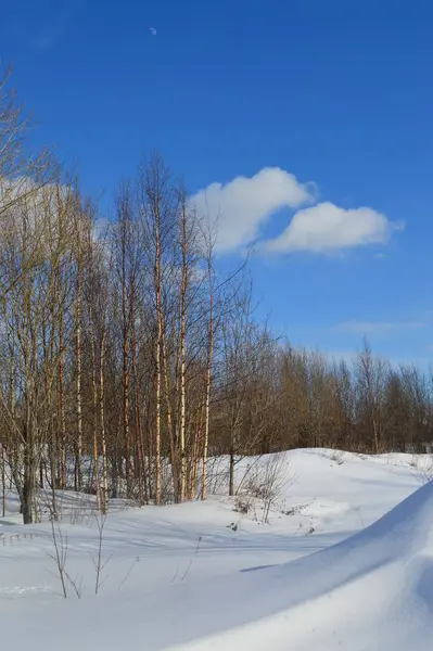 Mavi gökyüzüyle güneşli bir bahar günü