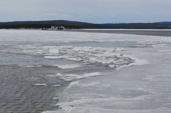 Nisan ayında Kandalaksha Körfezi