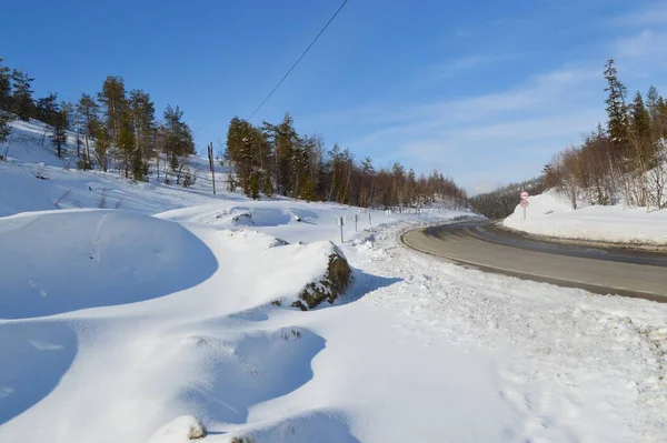 Yol ve orman manzarası
