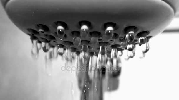 Les gouttes tombant de l'arrosoir douche dans la salle de bain gros plan — Video