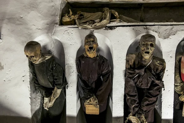 Burial in the catacombs of the Capuchins in Palermo . Sicily — Stock Photo, Image