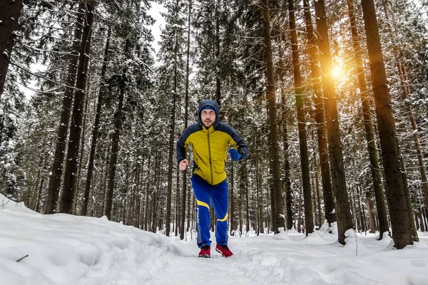 Hombre trotando en el sendero en el bosque de invierno —  Fotos de Stock