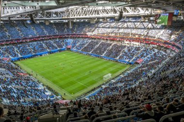 Saint-Petersburg 22 Haziran 2017. St. Petersburg 'daki Konfederasyon Kupası' nda Kamerun ve Avustralya maçına..