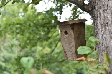 Işık, kuşlar için ahşap kuş yuvası, sonbaharda nehrin kenarındaki bir dalda asılı.