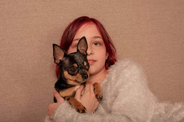 teenage girl with her favorite dog is a Chihuahua sitting on the couch