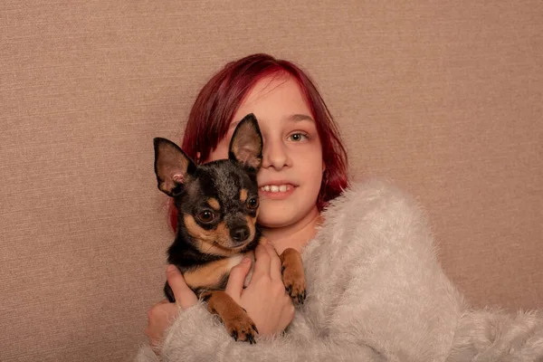 Adolescente con il suo cane preferito è un Chihuahua seduto sul divano — Foto Stock