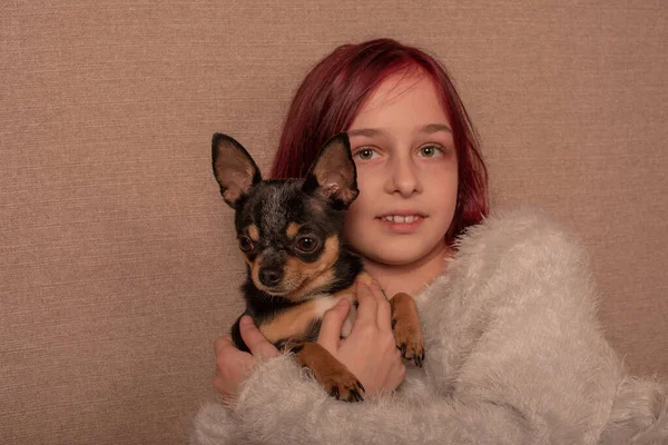 teenage girl with her favorite dog is a Chihuahua sitting on the couch