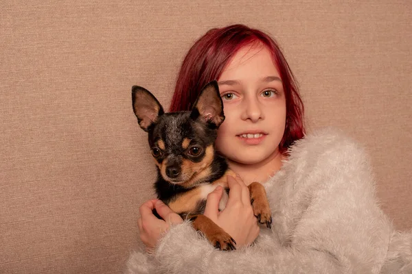 Adolescente con il suo cane preferito è un Chihuahua seduto sul divano — Foto Stock