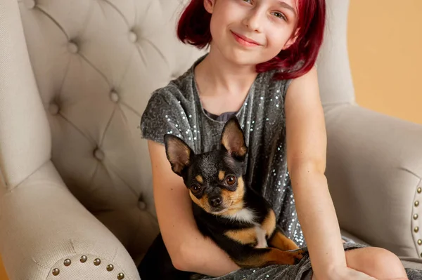 teenage girl with her favorite dog is a Chihuahua sitting on the couch