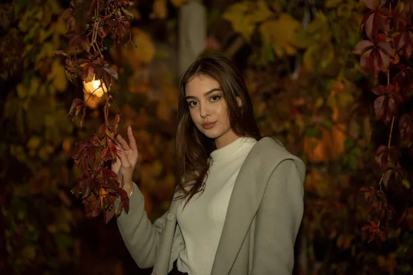 Stijlvol jong mooi meisje in een grijze vacht kijkt naar de camera en glimlacht lichtjes tegen de achtergrond van de stad. — Stockfoto