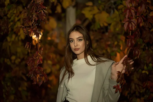 Elegante ragazza carina in un cappotto grigio guarda la fotocamera e sorride leggermente sullo sfondo della città . — Foto Stock